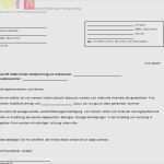 Kindergeld Steueridentifikationsnummer Mitteilen Vorlage Hübsch 40 Wunderbar Kündigung Handyvertrag Vorlage Bilder