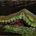 Kinderschminken Fee Vorlage Inspiration Pin Fee Kinderschminken Vorlage Schminken Video Anleitung