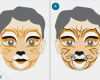 Kinderschminken Hexe Vorlagen Schönste Tiger Gesicht Schminken Arrrrr Zeit F R Tiger Schminken