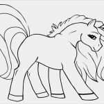 Kissen Bemalen Vorlagen Neu Malvorlagen Kostenlos Playmobil Die Beste Idee Zum