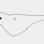 Klammertiere Basteln Vorlagen Einzigartig Basteln Mit Kindern Marions Zeitfenster