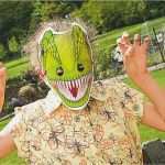 Klappentext Vorlage Großartig Redirecting to Artikel Buch Das Dino Maskenbuch 1