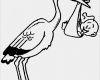 Klapperstorch Baby Vorlage Cool Klapperstorch