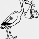 Klapperstorch Baby Vorlage Cool Klapperstorch