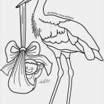 Klapperstorch Holz Vorlage Luxus Ungewöhnlich Storch Vorlage Fotos Dokumentationsvorlage