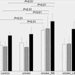 Klappkarte Vorlage Einzigartig Hochzeit Einladung Klappkarte