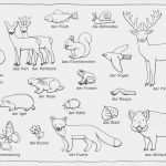 Klassendienste Vorlagen Ausdrucken Schönste Download Als Pdf Natur – Wald Tiere Pflanzen – Henkel