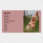 Klassische Visitenkarten Vorlagen Süß Lachendes Schwein Visitenkarten Vorlagen