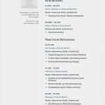 Klassischer Lebenslauf Vorlage Beste 9 Perfekt Muster Klassischer Lebenslauf Für Jede Stelle