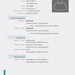 Klassischer Lebenslauf Vorlage Erstaunlich 15 Perfekt Klassischer Tabellarischer Lebenslauf Vorlage