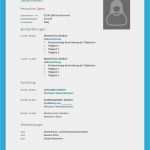 Klassischer Lebenslauf Vorlage Schön 10 Wie Schreibe Ich Beispiele Klassischer Tabellarischer