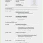 Klassischer Lebenslauf Word Vorlage Angenehm Klassischer Lebenslauf Muster