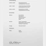 Klassischer Lebenslauf Word Vorlage Neu Klassischer Lebenslauf Muster