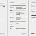 Klassischer Lebenslauf Word Vorlage Süß Lebenslauf Beerdigung Vorlage