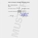 Kleingewerbe Arbeitgeber Melden Vorlage Cool Berufszertifikate & Diplome