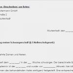 Kleingewerbe Arbeitgeber Melden Vorlage Luxus Schwangerschaftsmitteilung Arbeitgeber Muster Zum Download