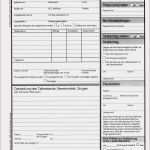 Klingelschild Vorlage Kostenlos Fabelhaft Stundenzettel Excel Vorlage Kostenlos 2017 Fahrtenbuch