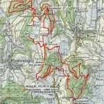 Km Abrechnung Vorlage Schön Km Abrechnung Vorlage 6 Fahrtenbuch Vorlage Business