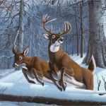 Knüpfteppich Vorlagen Fabelhaft Malen Nach Zahlen Hirschpaar Im Schnee