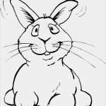 Kochlöffel Basteln Vorlage Einzigartig 1000 Ideen Zu Ausmalbild Hase Auf Pinterest