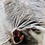 Kochlöffel Basteln Vorlage Großartig Die Besten 17 Ideen Zu Puppentheater Auf Pinterest