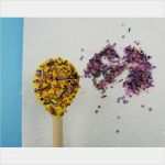 Kochlöffel Basteln Vorlage Schönste Lustige Geschenkideen