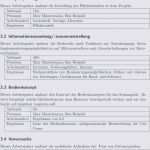 Kofferanhänger Vorlage Word Genial Lastenheft Vorlage Word