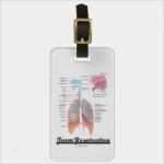 Kofferanhänger Vorlage Word Luxus Kofferanhänger Vorlage Word Einzigartig Team atmung