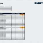 Kommunikationsmatrix Projektmanagement Vorlage Cool Download Templates