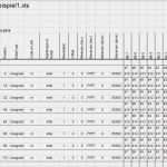 Kommunikationsmatrix Vorlage Kostenlos Wunderbar Dbtoexcel Für Fibex Autosar Can Und Lin Openpr