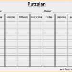 Kompetenzmatrix Vorlage Excel Elegant Erfreut Kompetenzmatrix Vorlage Bilder Beispiel