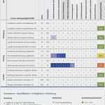 Kompetenzmatrix Vorlage Excel Fabelhaft Fantastisch Kompetenzmatrix Vorlage Galerie Beispiel