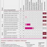 Kompetenzmatrix Vorlage Excel Hübsch Kompetenzmatrix Qualifikationsmatrix