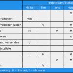 Kompetenzmatrix Vorlage Excel Schön Fantastisch Kompetenzmatrix Vorlage Ideen Entry Level