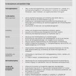 Kompetenzprofil Erzieher Vorlage Elegant Beispiele Zum Kompetenzprofil