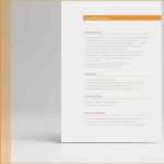 Kompetenzprofil Erzieher Vorlage Gut Bewerbungen Richtig Schreiben Mit Mustervorlagen