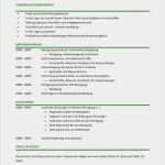 Kompetenzprofil Erzieher Vorlage Süß Konferenzmitarbeiter M W Planung Cv &amp; Bewerbung