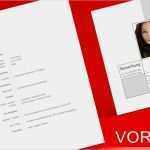 Komplette Bewerbung Vorlage Kostenlos Fabelhaft Word Bewerbung Musterbewerbung Verkäuferin Bewerbung Vorlage