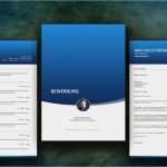 Komplette Bewerbung Vorlage Kostenlos Schön Bewerbung Muster Professionelle Design Vorlagen