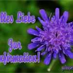 Konfirmationskarten Vorlagen Zum Ausdrucken Best Of Konfirmationskarten Mit Text Zum Selber Drucken