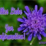 Konfirmationskarten Vorlagen Zum Ausdrucken Inspiration Kostenlose Karten Zur Konfirmation Gaidaphotos Fotos Und