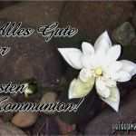 Konfirmationskarten Vorlagen Zum Ausdrucken Schön Kostenlose Karten Zur Kommunion Gaidaphotos Fotos Und Bilder