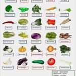 Konformitätserklärung Lebensmittel Vorlage Englisch Wunderbar Deutsch Lernen Das Gemüse