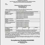 Konformitätserklärung Medizinprodukte Vorlage Elegant Downloads