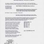 Konformitätserklärung Medizinprodukte Vorlage Fabelhaft Medizinprodukt Prüfzertifikate Reha Europe