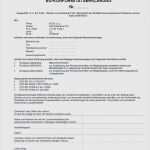 Konformitätserklärung Reach Vorlage Erstaunlich Konformitätserklärung Reach Vorlage Süß Großzügig