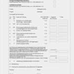 Konformitätserklärung Vorlage Elektro Fabelhaft Konformitätsbewertungsverfahren Konformitätserklärung Nachweise Für Niederspannungs