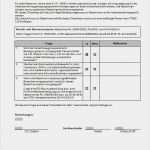 Konformitätserklärung Vorlage Metallbau Erstaunlich Erfreut Konformitätserklärung Vorlage Ideen