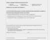 Konformitätserklärung Vorlage Pdf Hübsch Fein Konformitätserklärung Vorlage Ideen Beispiel