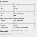 Konformitätserklärung Vorlage Pdf Süß Fein Konformitätserklärung Vorlage Ideen Beispiel